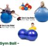 gym-ball-pnaut-plain-spike